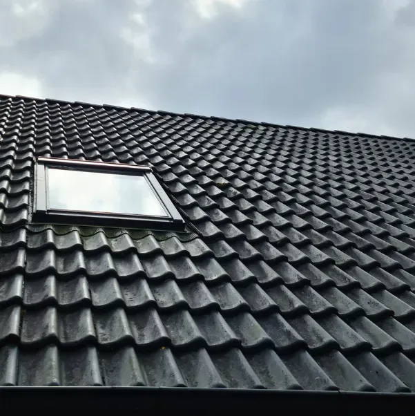 clean-roof-installation